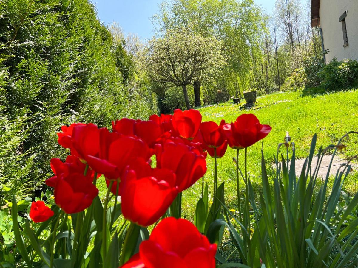 Gite De Vacances Jardin Monet Giverny Vernon Sainte-Genevieve-les-Gasny Екстер'єр фото